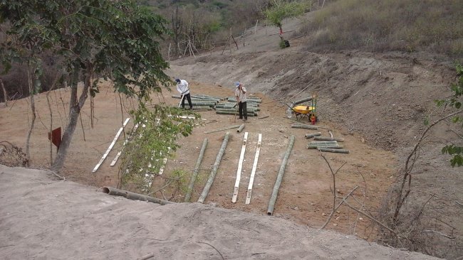 Working on Bamboo Fence